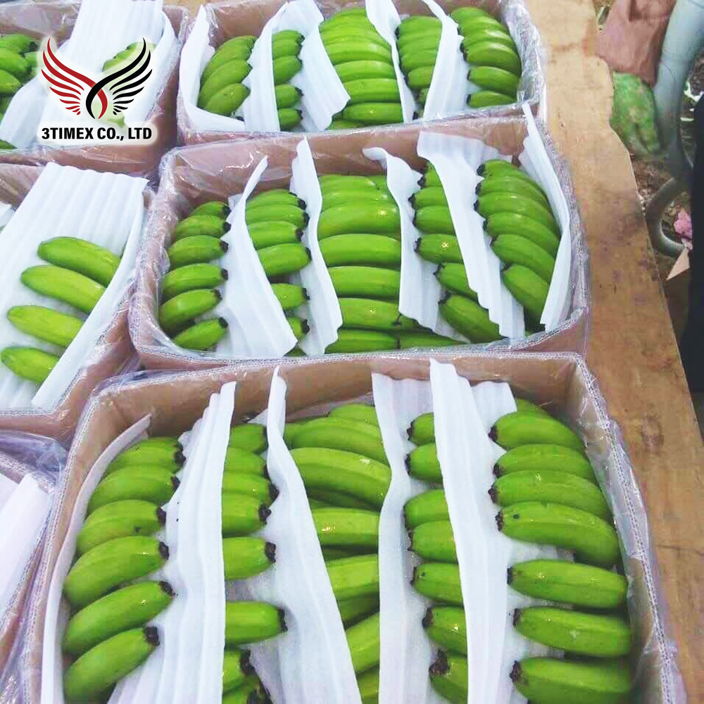 Chuối già Nam Mỹ (chuối Cavendish)